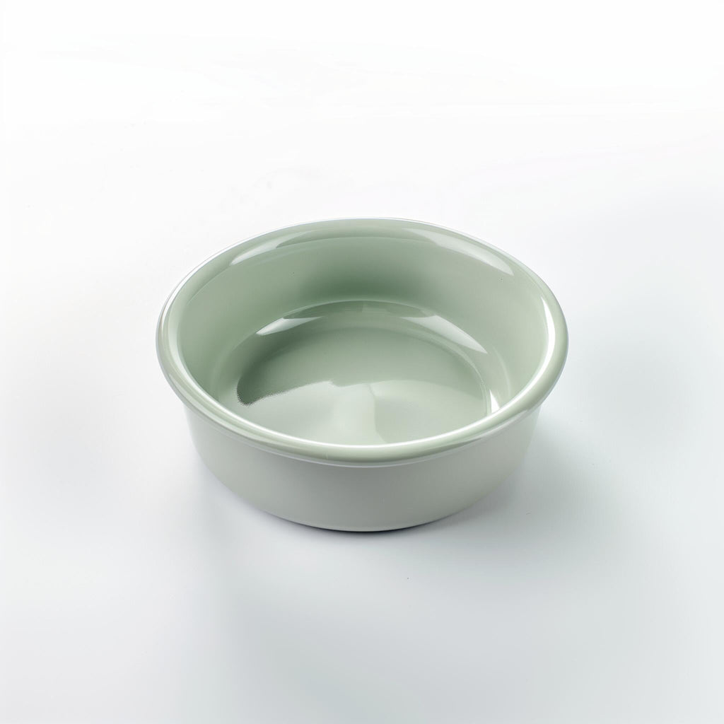 Dog bowl